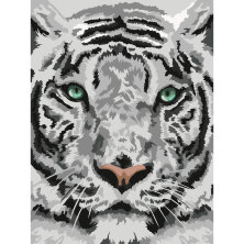 Картина по номерам на картоне ТРИ СОВЫ "Бенгальский тигр", 30*40, с акриловыми красками и кистями