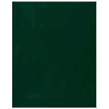 Тетрадь 48л., А5, клетка OfficeSpace, бумвинил, зеленый