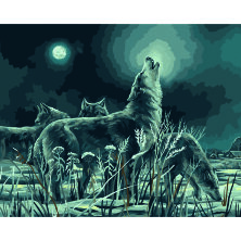 Картина по номерам на холсте ТРИ СОВЫ "Ночная охота", 40*50, с акриловыми красками и кистями