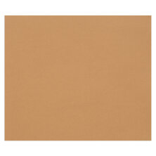 Цветная бумага 500*650мм, Clairefontaine "Tulipe", 25л., 160г/м2, светло-коричневый, легкое зерно, 100%целлюлоза