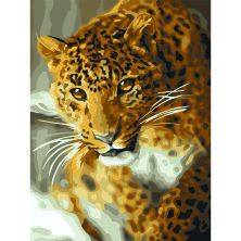 Картина по номерам на картоне ТРИ СОВЫ "Леопард", 30*40, с акриловыми красками и кистями