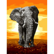 Картина по номерам на холсте ТРИ СОВЫ "Слон", 30*40, с акриловыми красками и кистями