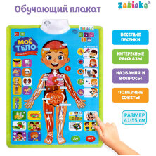 Говорящий плакат ZABIAKA "Изучаем анатомию. Мое тело", пакет